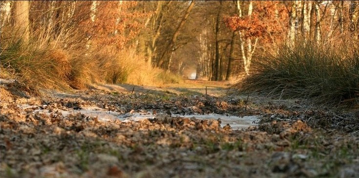 Foto van Karin Gottlieb